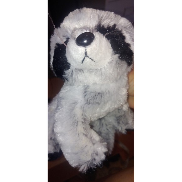 Ganz Webkinz Racoon HM143 Plush Without Code (12 Inch..including tail) - Picture 4 of 5